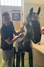 model oefenpaard voor studenten