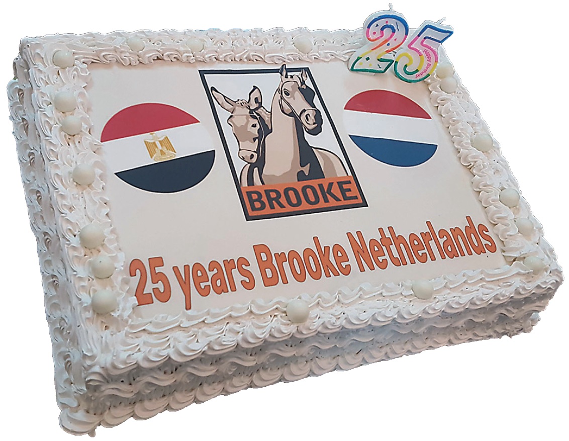 25 jaar Brooke-NL
