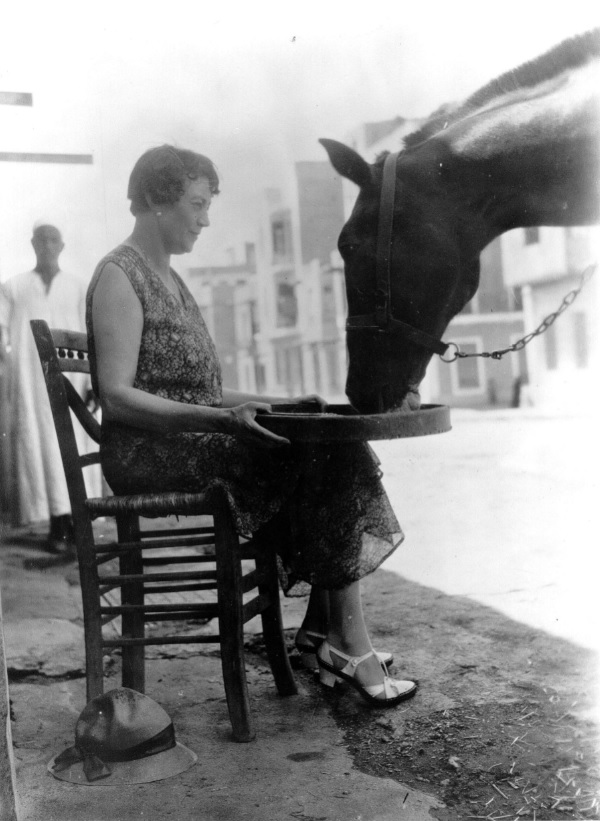 Dorothy Brooke