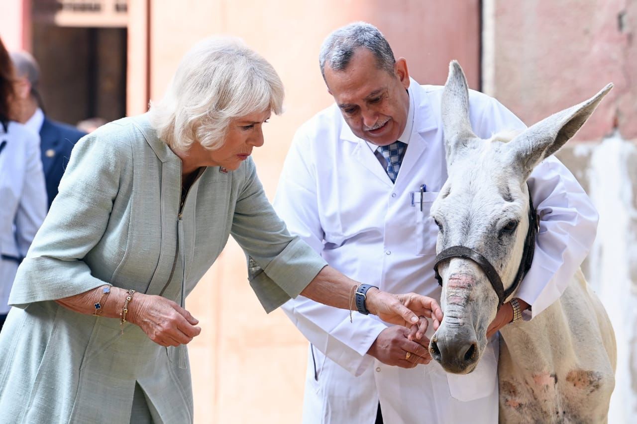 bezoek HRH Camilla Parker Bowles Brooke-Cairo met Dr Emad