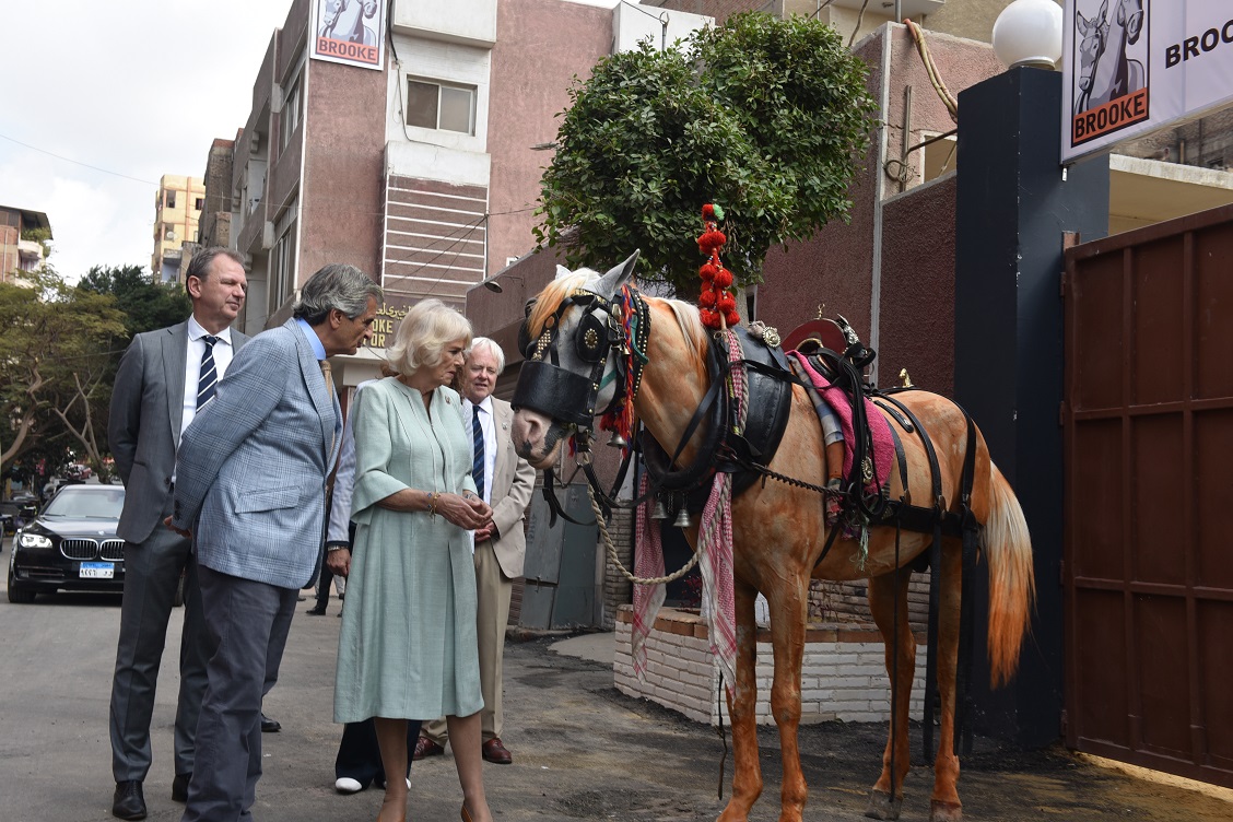 bezoek HRH Camilla Parker Bowles Brooke-Cairo - voor de kliniek bij een patiënt