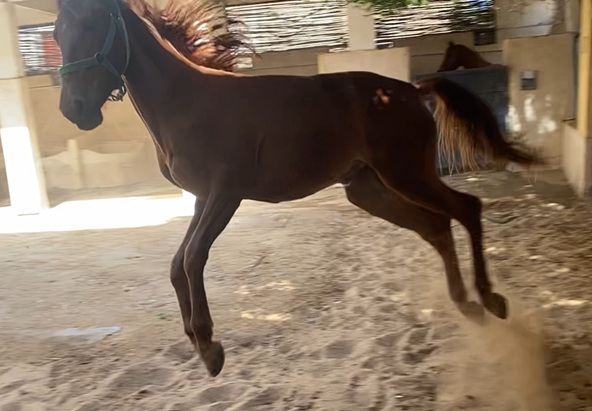 Voetjes van de vloer!!