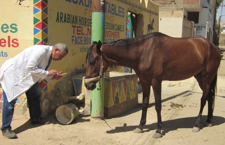 Dr Ameen aan het werk met de pijn-app
