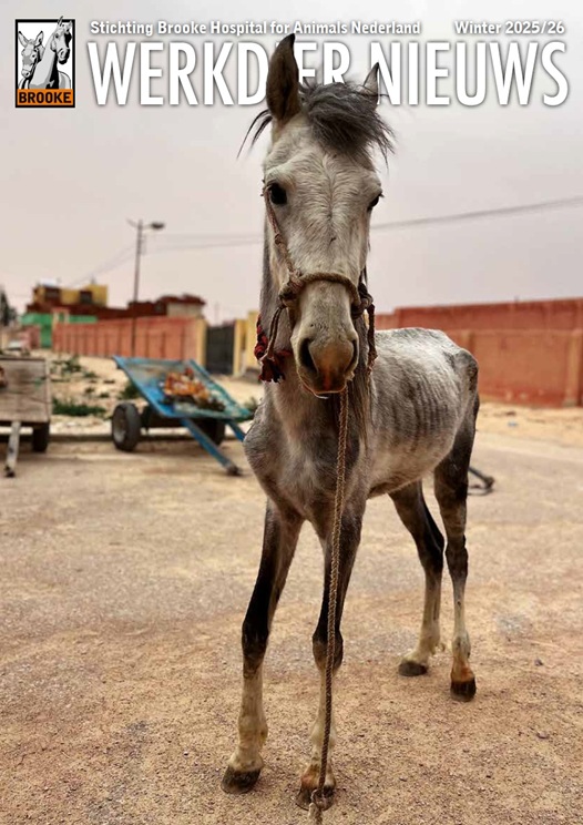 Werkdier Nieuws Winter 2025/26